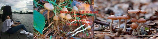 MESCALINE Новокубанск