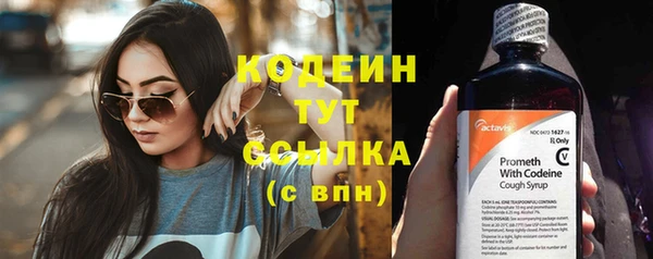 хмурый Новозыбков