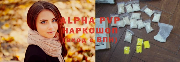 хмурый Новозыбков