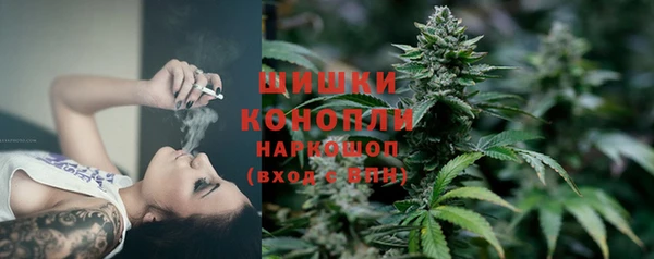 a pvp Новодвинск