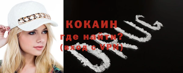 хмурый Новозыбков
