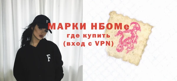 хмурый Новозыбков