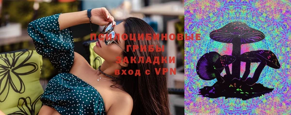 хмурый Новозыбков