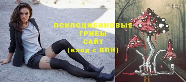 a pvp Новодвинск