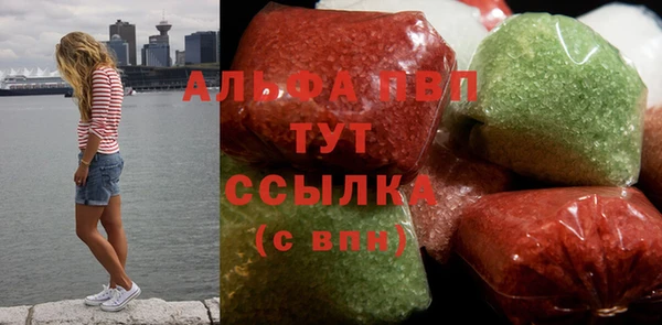 хмурый Новозыбков