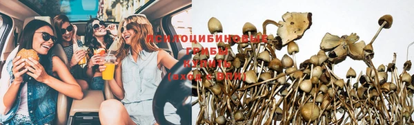 хмурый Новозыбков