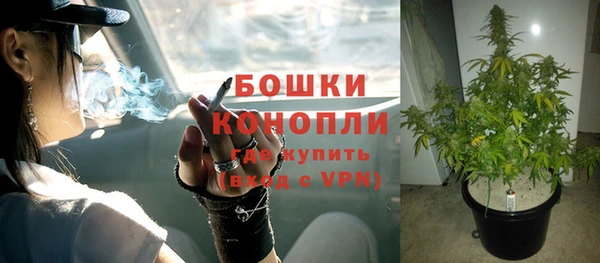 a pvp Новодвинск