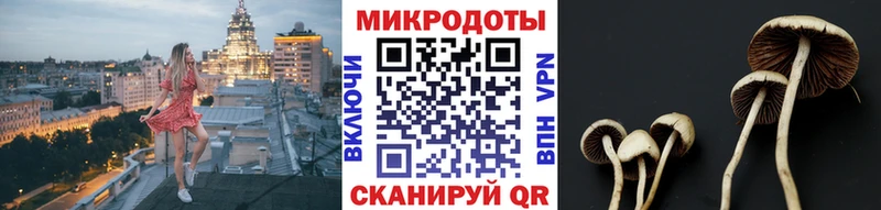 купить наркотики сайты  Сергач  Псилоцибиновые грибы Cubensis 